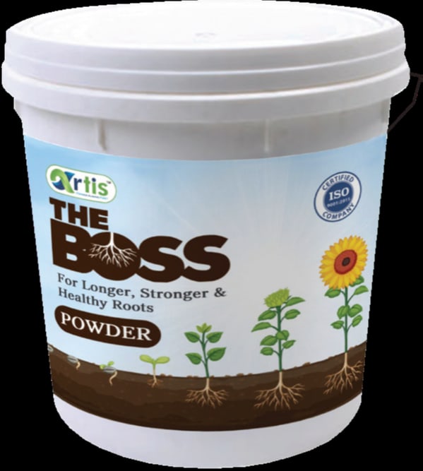 The Boss (Root enhancer Shiny Crystals)